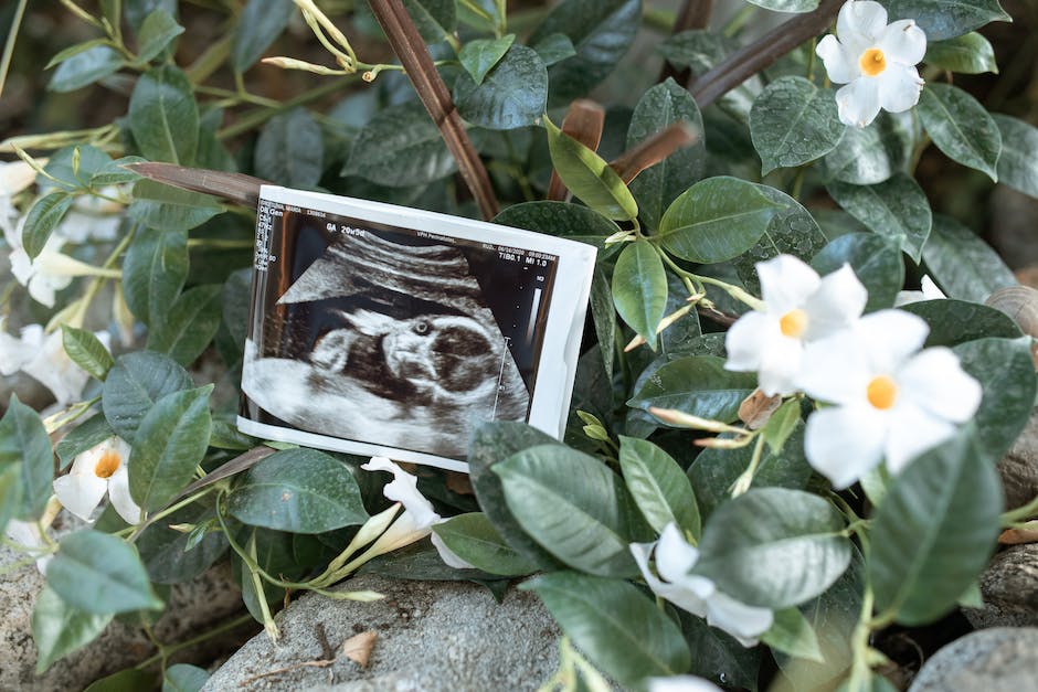  GV nach Eisprung auslösen - Timing, Tipps und Risiken