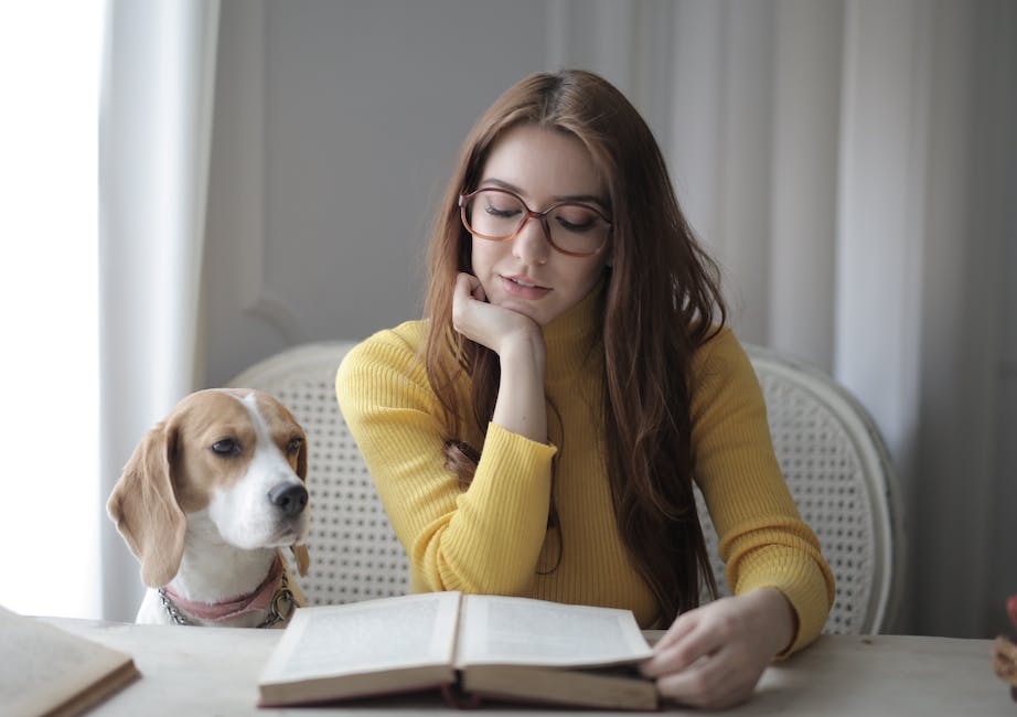 Eisprung beim Hund - erfahren Sie wann es am wahrscheinlichsten ist