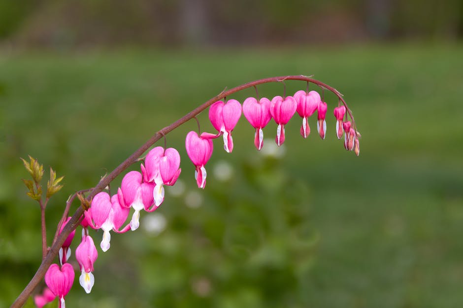  Einnistungsblutung nach Eisprung - wann?